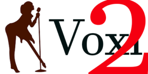 VOXI 2